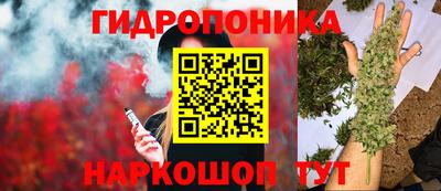 дживик Гудермес