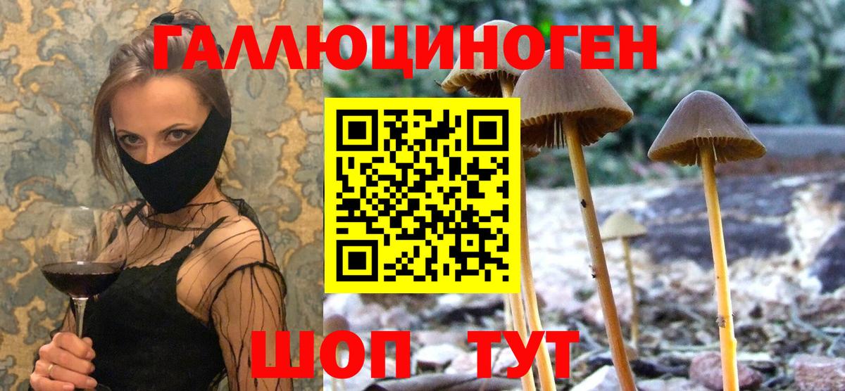 Галлюциногенные грибы мухоморы Красноуфимск