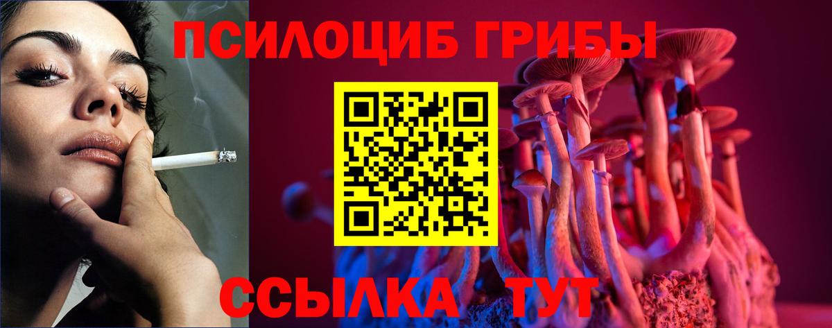 Красноуфимск  Галлюциногенные грибы прущие грибы  Псилоцибиновые грибы Cubensis  Вход с VPN 